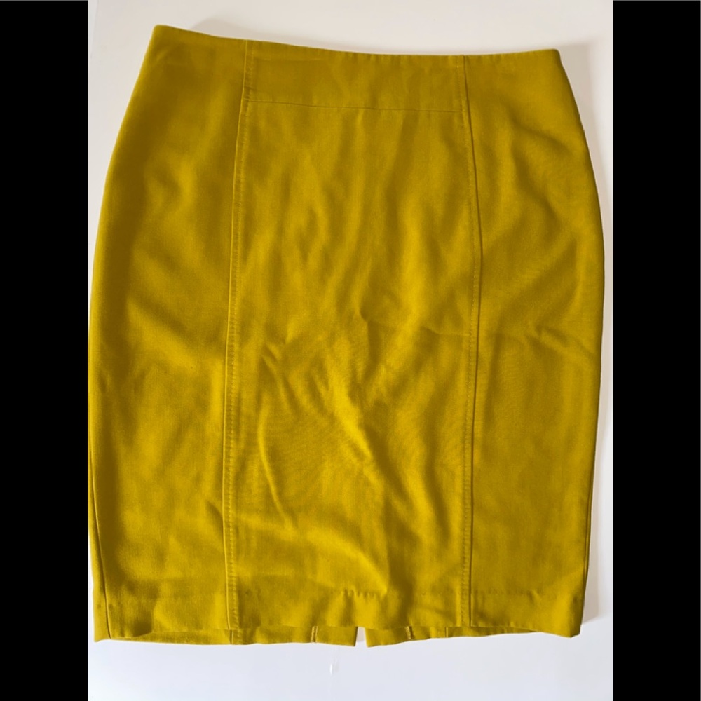 Pencil Skirt with stitching detail.